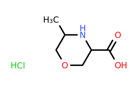 CAS 1796882-04-6 | 5-methylmorpholine-3-carboxylic acid hydrochloride