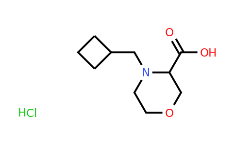 CAS 1796895-36-7 | 4-(cyclobutylmethyl)morpholine-3-carboxylic acid hydrochloride