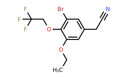 CAS 1797290-47-1 | 2-[3-Bromo-5-ethoxy-4-(2,2,2-trifluoroethoxy)phenyl]acetonitrile