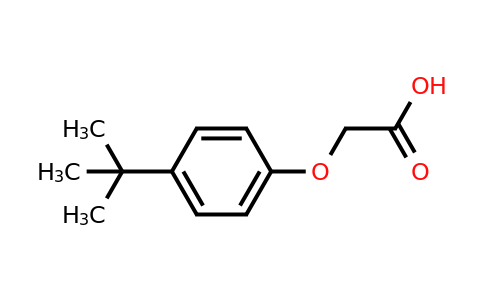 CAS 1798-04-5 | 2-(4-tert-butylphenoxy)acetic acid