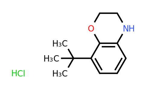 CAS 1798017-13-6 | 8-tert-butyl-3,4-dihydro-2H-1,4-benzoxazine hydrochloride