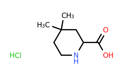 CAS 1803560-90-8 | 4,4-dimethylpiperidine-2-carboxylic acid hydrochloride
