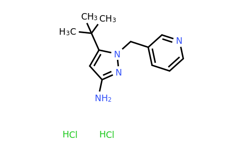 CAS 1803566-56-4 | 5-tert-butyl-1-[(pyridin-3-yl)methyl]-1H-pyrazol-3-amine dihydrochloride