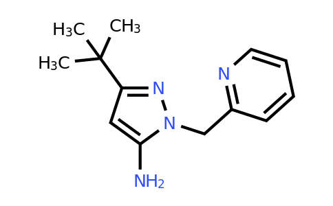CAS 1803580-80-4 | 3-tert-butyl-1-[(pyridin-2-yl)methyl]-1H-pyrazol-5-amine