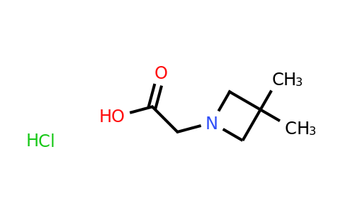 CAS 1803590-77-3 | 2-(3,3-dimethylazetidin-1-yl)acetic acid hydrochloride