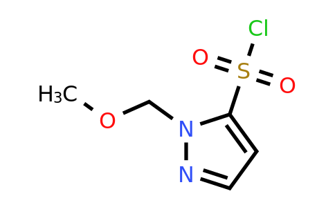 CAS 1803594-93-5 | 1-(methoxymethyl)-1H-pyrazole-5-sulfonyl chloride