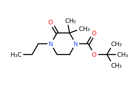 CAS 1803604-77-4 | tert-butyl 2,2-dimethyl-3-oxo-4-propylpiperazine-1-carboxylate