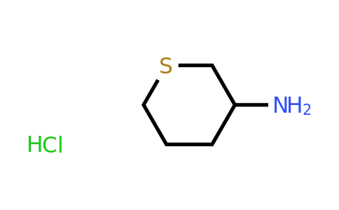 CAS 1803609-59-7 | thian-3-amine hydrochloride
