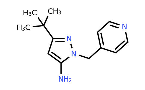 CAS 1803611-11-1 | 3-tert-butyl-1-[(pyridin-4-yl)methyl]-1H-pyrazol-5-amine
