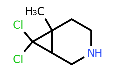 CAS 1804129-11-0 | 7,7-dichloro-6-methyl-3-azabicyclo[4.1.0]heptane