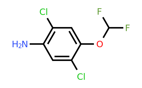 CAS 1804421-14-4 | 2,5-Dichloro-4-(difluoromethoxy)aniline