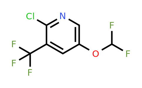 CAS 1805501-29-4 | 2-chloro-5-(difluoromethoxy)-3-(trifluoromethyl)pyridine