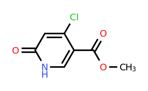 CAS 1805647-28-2 | methyl 4-chloro-6-oxo-1H-pyridine-3-carboxylate
