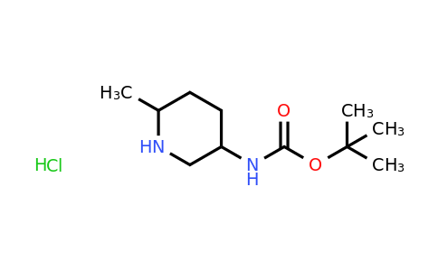 CAS 1807542-94-4 | tert-Butyl (6-methylpiperidin-3-yl)carbamate hydrochloride