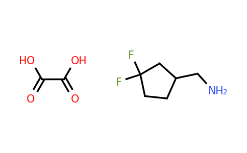 (3,3-difluorocyclopentyl)methanamine; oxalic acid