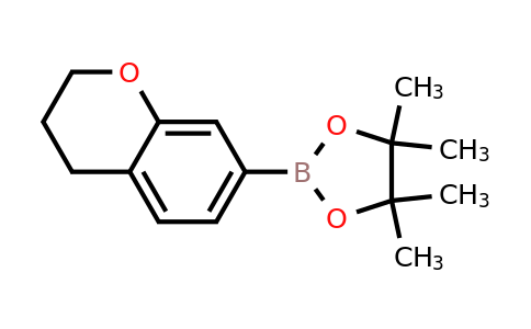 CAS 1807699-68-8 | 2-(Chroman-7-yl)-4,4,5,5-tetramethyl-1,3,2-dioxaborolane