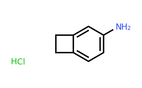 CAS 1810070-03-1 | Bicyclo[4.2.0]octa-1,3,5-trien-3-amine hydrochloride