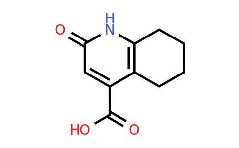 CAS 181021-86-3 | 2-oxo-1,2,5,6,7,8-hexahydroquinoline-4-carboxylic acid