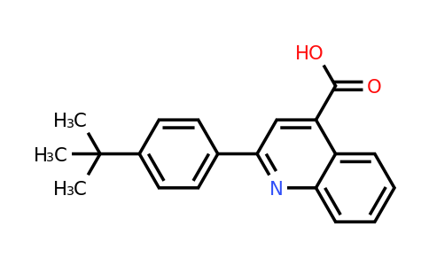 CAS 181048-48-6 | 2-(4-(tert-Butyl)phenyl)quinoline-4-carboxylic acid