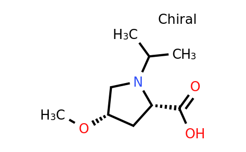 CAS 1820571-30-9 | (2S,4S)-1-Isopropyl-4-methoxypyrrolidine-2-carboxylic acid