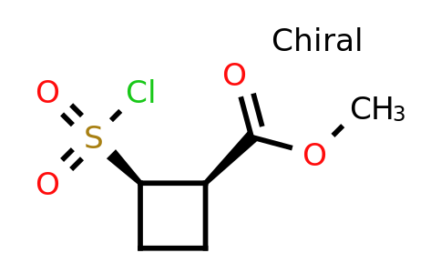 CAS 1820581-25-6 | methyl (1R,2R)-2-(chlorosulfonyl)cyclobutane-1-carboxylate