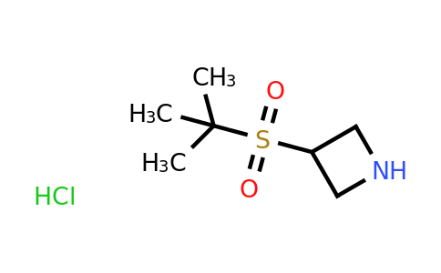 CAS 1820664-96-7 | 3-(tert-Butylsulfonyl)azetidine hydrochloride