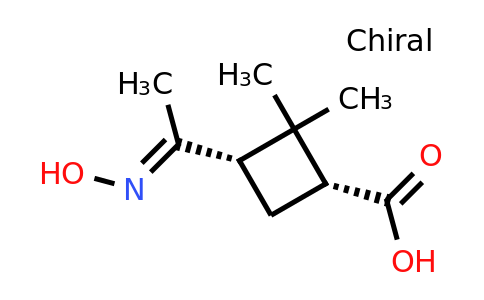 CAS 1821798-31-5 | (1R,3S)-3-[1-(hydroxyimino)ethyl]-2,2-dimethylcyclobutane-1-carboxylic acid