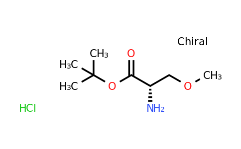 CAS 1821839-04-6 | (S)-tert-Butyl 2-amino-3-methoxypropanoate hydrochloride
