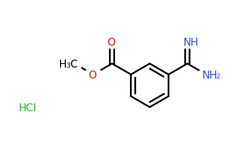 CAS 18219-39-1 | 3-Methoxycarbonyl benzamidine hcl