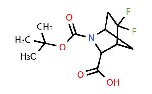 CAS 1822576-82-8 | 2-tert-butoxycarbonyl-5,5-difluoro-2-azabicyclo[2.2.1]heptane-3-carboxylic acid