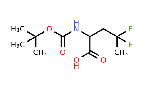 CAS 1822586-02-6 | 2-{[(tert-butoxy)carbonyl]amino}-4,4-difluoropentanoic acid