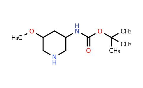 CAS 1822590-63-5 | tert-butyl N-(5-methoxy-3-piperidyl)carbamate