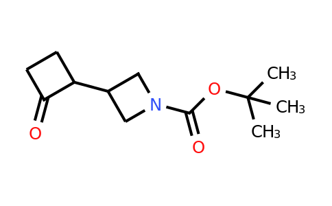 CAS 1823268-65-0 | tert-Butyl 3-(2-oxocyclobutyl)azetidine-1-carboxylate