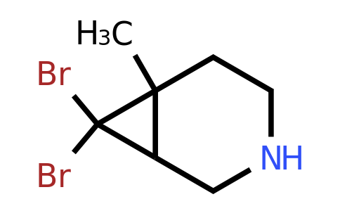 CAS 1823812-91-4 | 7,7-dibromo-6-methyl-3-azabicyclo[4.1.0]heptane