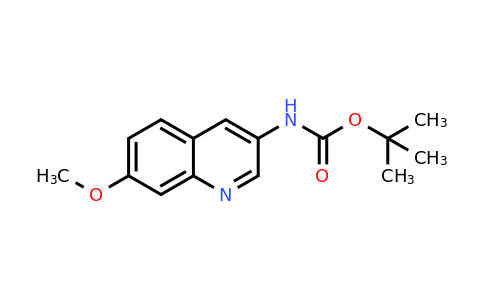 CAS 1823843-95-3 | tert-Butyl (7-methoxyquinolin-3-yl)carbamate
