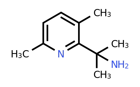 CAS 1824288-08-5 | 2-(3,6-dimethyl-2-pyridyl)propan-2-amine