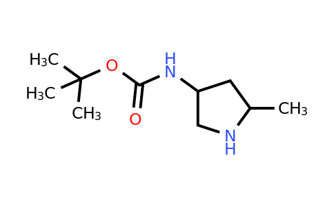 CAS 1824321-49-4 | (5-Methyl-pyrrolidin-3-yl)-carbamic acid tert-butyl ester