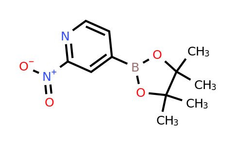CAS 1841080-51-0 | 2-Nitropyridine-4-boronic acid pinacol ester