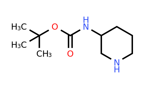 CAS 184637-48-7 | 3-BOC-Aminopiperidine