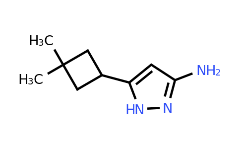 CAS 1853338-91-6 | 5-(3,3-dimethylcyclobutyl)-1H-pyrazol-3-amine