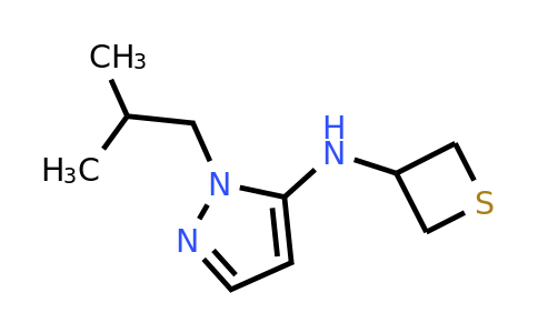 CAS 1856640-51-1 | 1-(2-methylpropyl)-N-(thietan-3-yl)-1H-pyrazol-5-amine