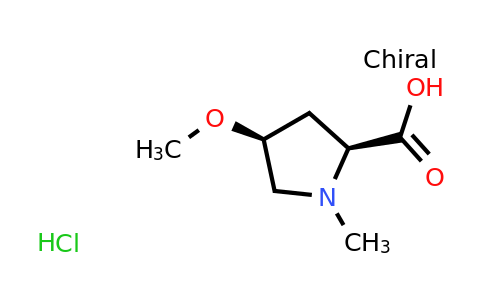 CAS 1860012-47-0 | L-​Proline, 4-​methoxy-​1-​methyl-​, cis- hydrochloride