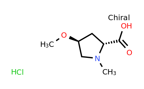 CAS 1860012-49-2 | D-​Proline, 4-​methoxy-​1-​methyl-​, (4S)​- hydrochloride