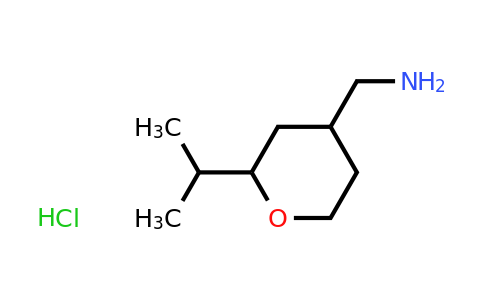 CAS 1864015-26-8 | 1-[2-(propan-2-yl)oxan-4-yl]methanamine hydrochloride