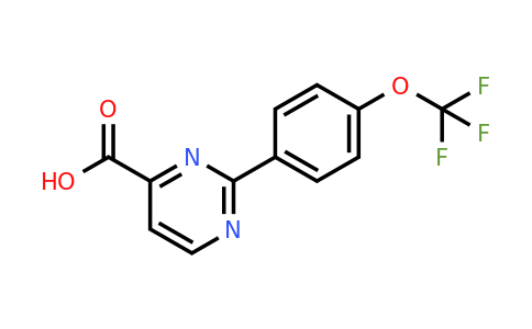CAS 1864059-55-1 | 2-[4-(TRifluoromethoxy)phenyl]pyrimidine-4-carboxylic acid