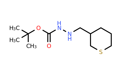 CAS 1873883-56-7 | N'-[(thian-3-yl)methyl](tert-butoxy)carbohydrazide
