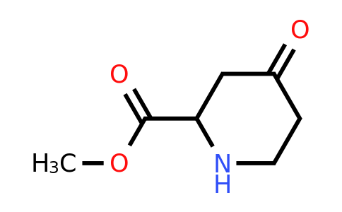 CAS 187753-15-7 | 4-Oxo-piperidine-2-carboxylic acid methyl ester
