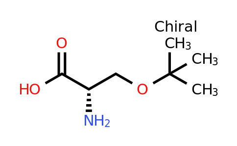 CAS 18822-58-7 | (2S)-2-amino-3-(tert-butoxy)propanoic acid