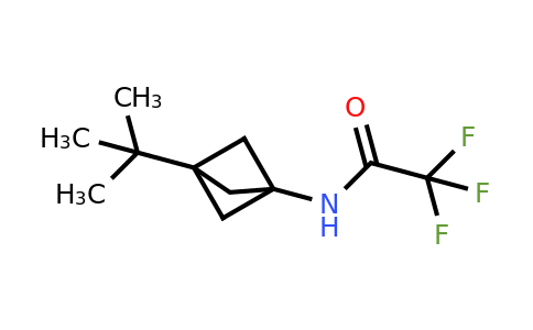 CAS 1886967-03-8 | N-(3-tert-butyl-1-bicyclo[1.1.1]pentanyl)-2,2,2-trifluoro-acetamide