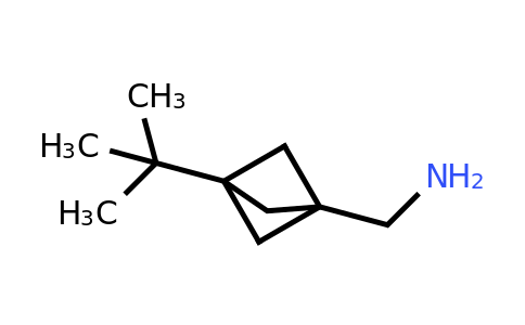 CAS 1886967-49-2 | {3-tert-butylbicyclo[1.1.1]pentan-1-yl}methanamine